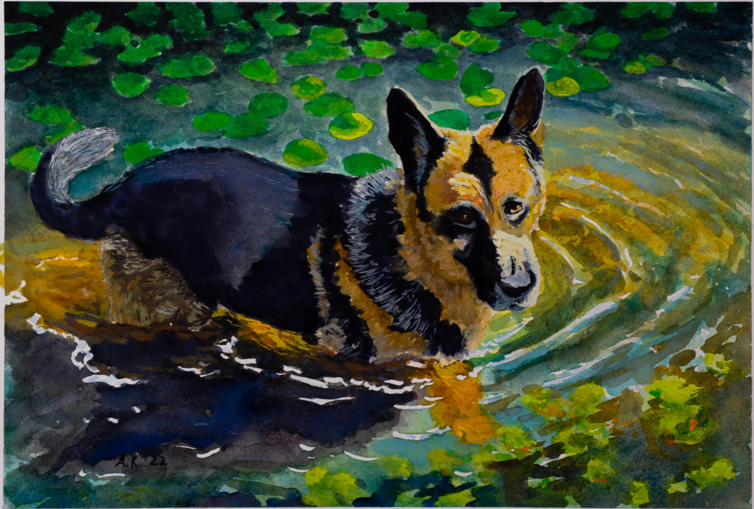 Leo, watercolor, 2022